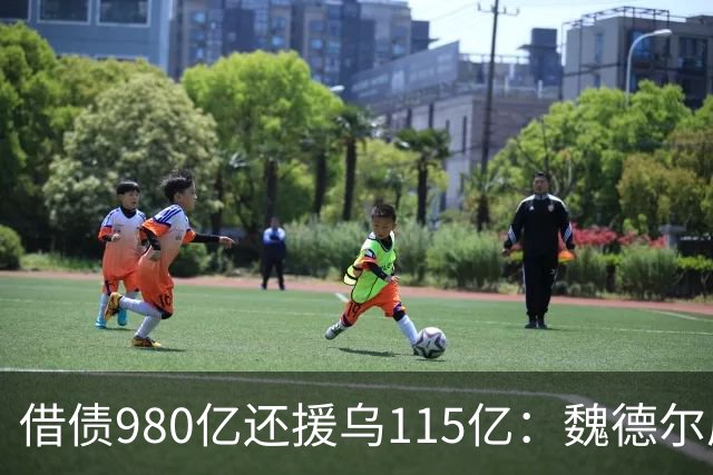 借债980亿还援乌115亿：魏德尔质问默茨，自己没钱装什么大款