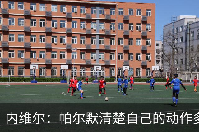 内维尔：帕尔默清楚自己的动作多脏，他的反应看起来很蠢