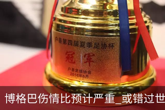 博格巴伤情比预计严重 或错过世界杯到明年才复出