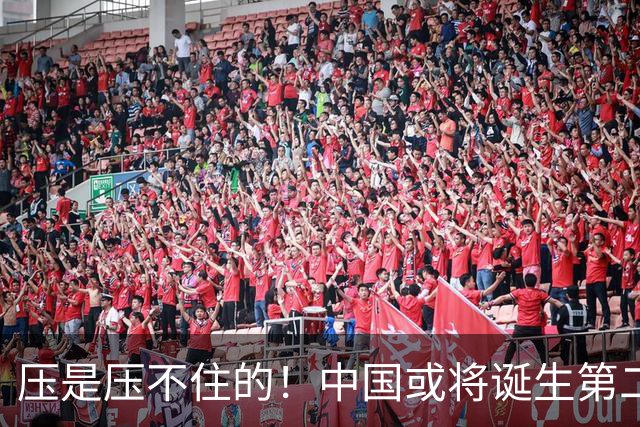 压是压不住的！中国或将诞生第二个华为