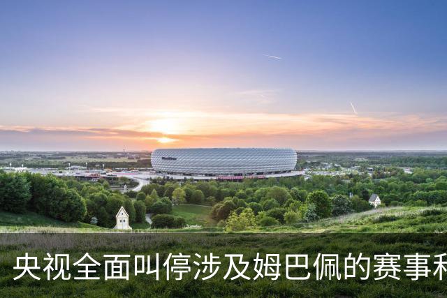 央视全面叫停涉及姆巴佩的赛事和广告播出，姆巴佩小红书账号已被禁言禁止关注；因发表不当言论，姆巴佩已被多家企业终止合作