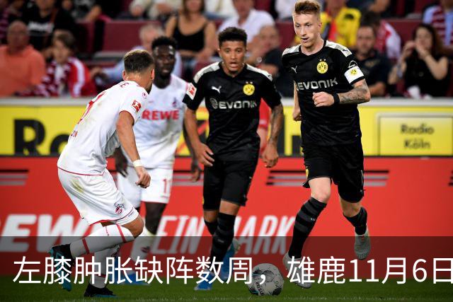 左膝肿胀缺阵数周，雄鹿11月6日对阵猛龙少了一大威胁