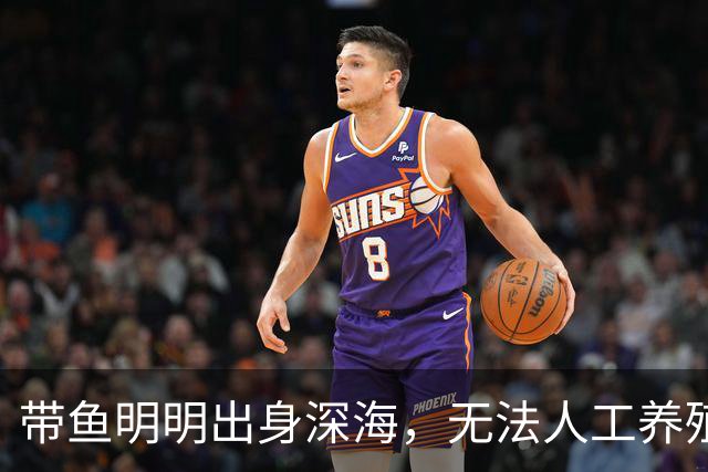 带鱼明明出身深海，无法人工养殖，为什么成了便宜的平民海鲜？