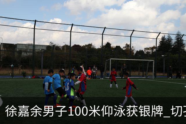 徐嘉余男子100米仰泳获银牌 切孔夺金
