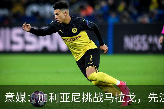 意媒：加利亚尼挑战马拉戈，先注册再参选