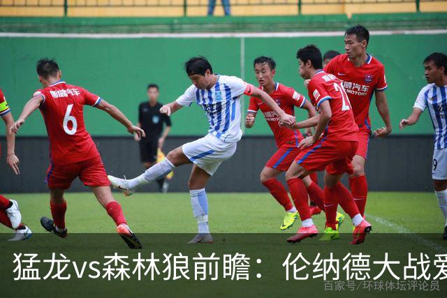 猛龙vs森林狼前瞻：伦纳德大战爱德华兹，一场不同风格的强硬对决