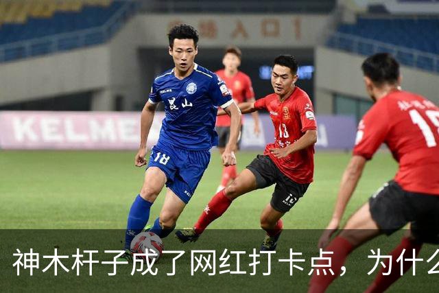 神木杆子成了网红打卡点，为什么要围起来？